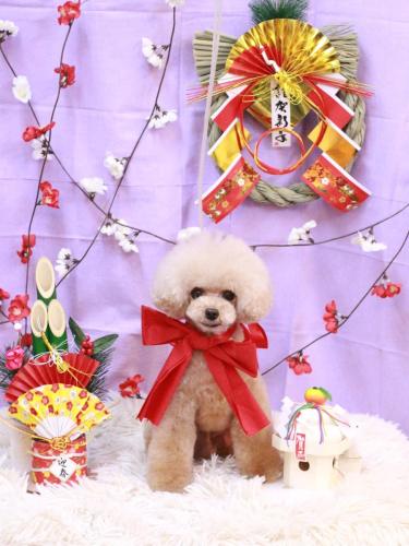 20230113ティナくん